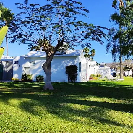 Canary Garden Club منتجع ماسبالوماس