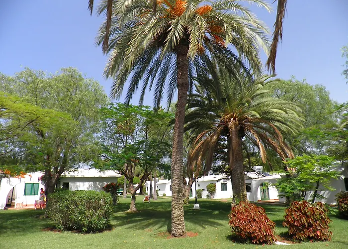 Курортный комплекс Canary Garden Club Маспаломас