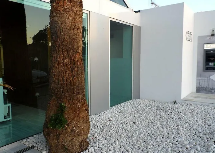 Canary Garden Club Маспаломас